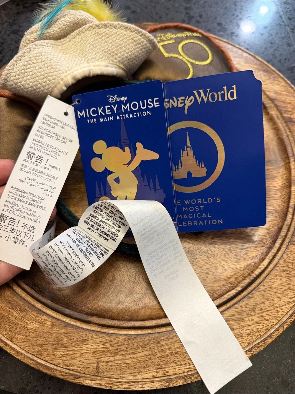 Disney Walt Disney world 50 th celebration enchanted tiki room ears